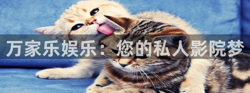 长运娱乐平台测速登录：万家乐娱乐：您的私人影院梦