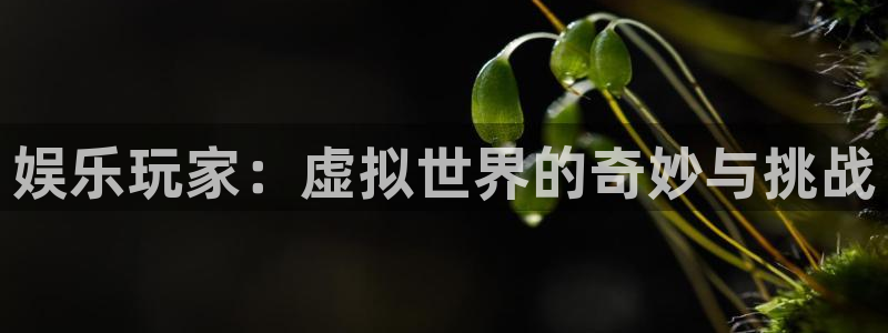 长运娱乐平台注册：娱乐玩家：虚拟世界的奇妙与挑战