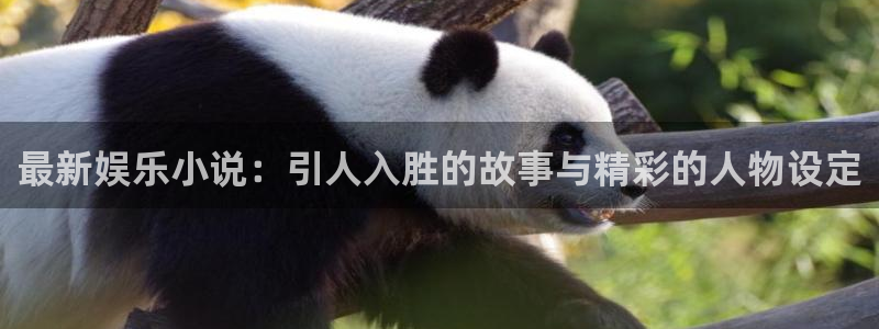 长运娱乐主管：最新娱乐小说：引人入胜的故事与精彩的人物设定