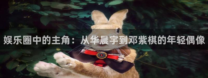 长运娱乐平台：娱乐圈中的主角：从华晨宇到邓紫棋的年轻偶像
