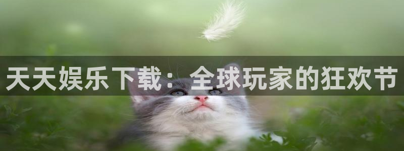 长运娱乐平台登录入口：天天娱乐下载：全球玩家的狂欢节