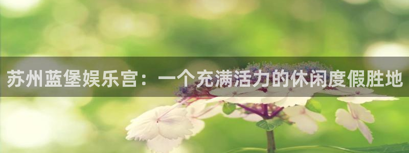 长运娱乐官网登录入口：苏州蓝堡娱乐宫：一个充满活力的休闲度假胜地