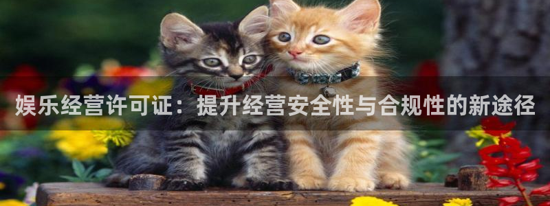 upload/20250701114914.jpg